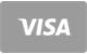Visa debit and credit card accepted at SpinGranny Casino